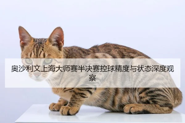 奥沙利文上海大师赛半决赛控球精度与状态深度观察