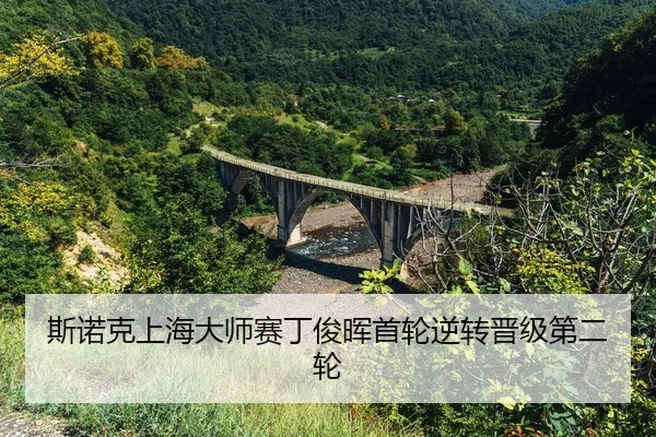 si-nuo-ke-shang-hai-da-shi-sai-ding-jun-hui-shou-lun-ni-zhuan-jin-ji-di-er-lun-2-157.jpg
